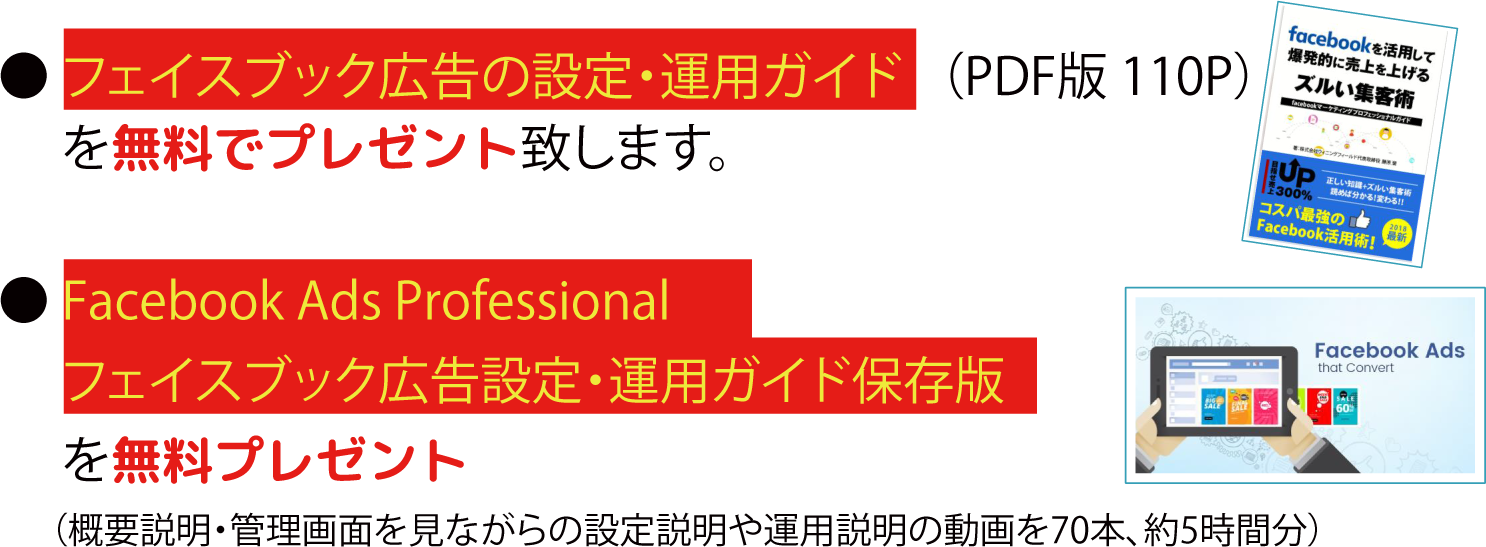 フェイスブック広告の設定・運用ガイド（PDF版110P）を無料でプレゼント致します。／FacebookAdsProfessionalフェイスブック広告設定・運用ガイド保存版を無料プレゼント（概要説明・管理画面を見ながらの設定説明や運用説明の動画を70本、約5時間分）