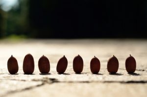 競合とのどんぐりの背比べから抜け出すコンセプトメイク